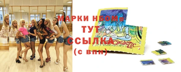 индика Верхнеуральск