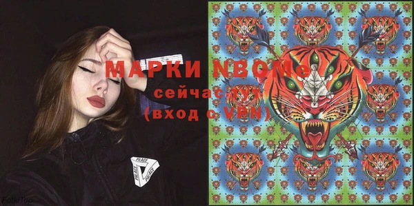 индика Верхнеуральск