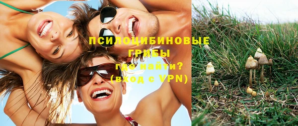 spice Верея