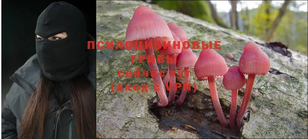 индика Верхнеуральск
