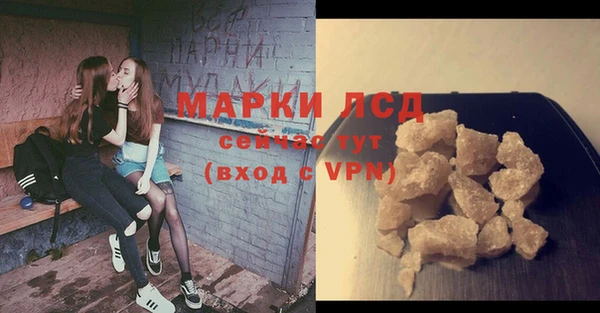 spice Верея